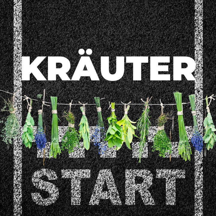 Starterpaket Kräuter